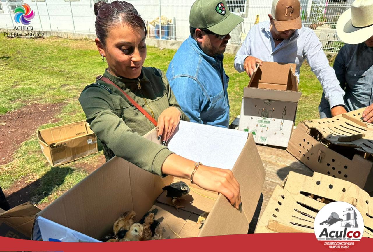 1692976554 711 Esta tarde hicimos entrega de Paquetes de Aves de Postura