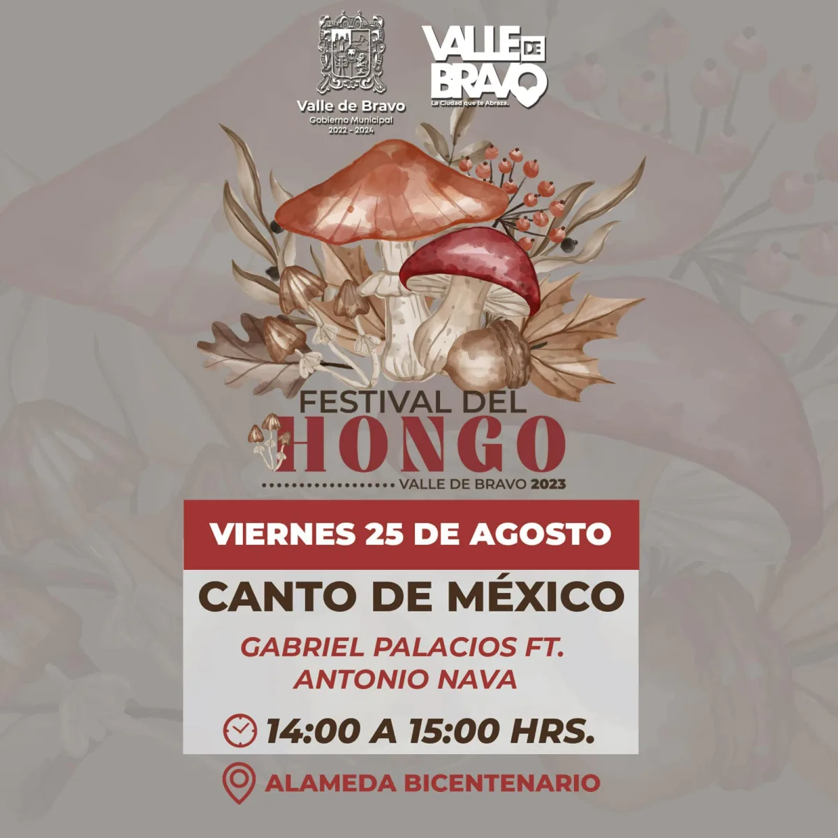 1692977384 484 ¡Hoy inicia el Festival del Hongo 2023 en Valle de