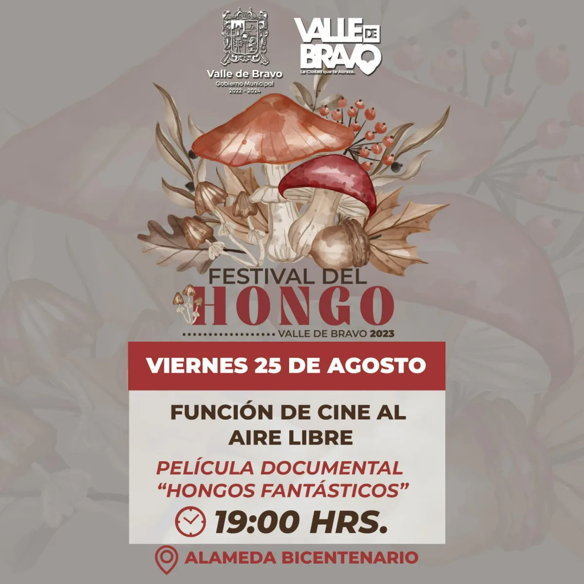 1692977396 612 ¡Hoy inicia el Festival del Hongo 2023 en Valle de