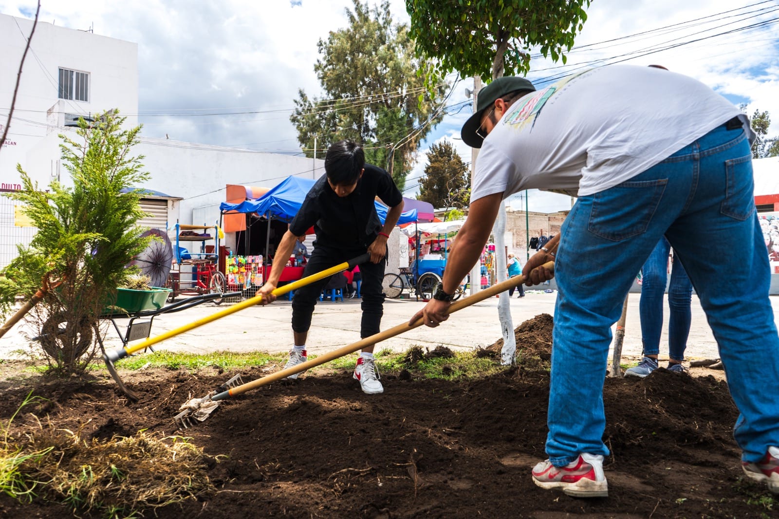 1692982721 790 GOBIERNO DE CHIMALHUACAN REALIZA TEQUIO AGROPECUARIO Y FORESTAL EN BARRIO