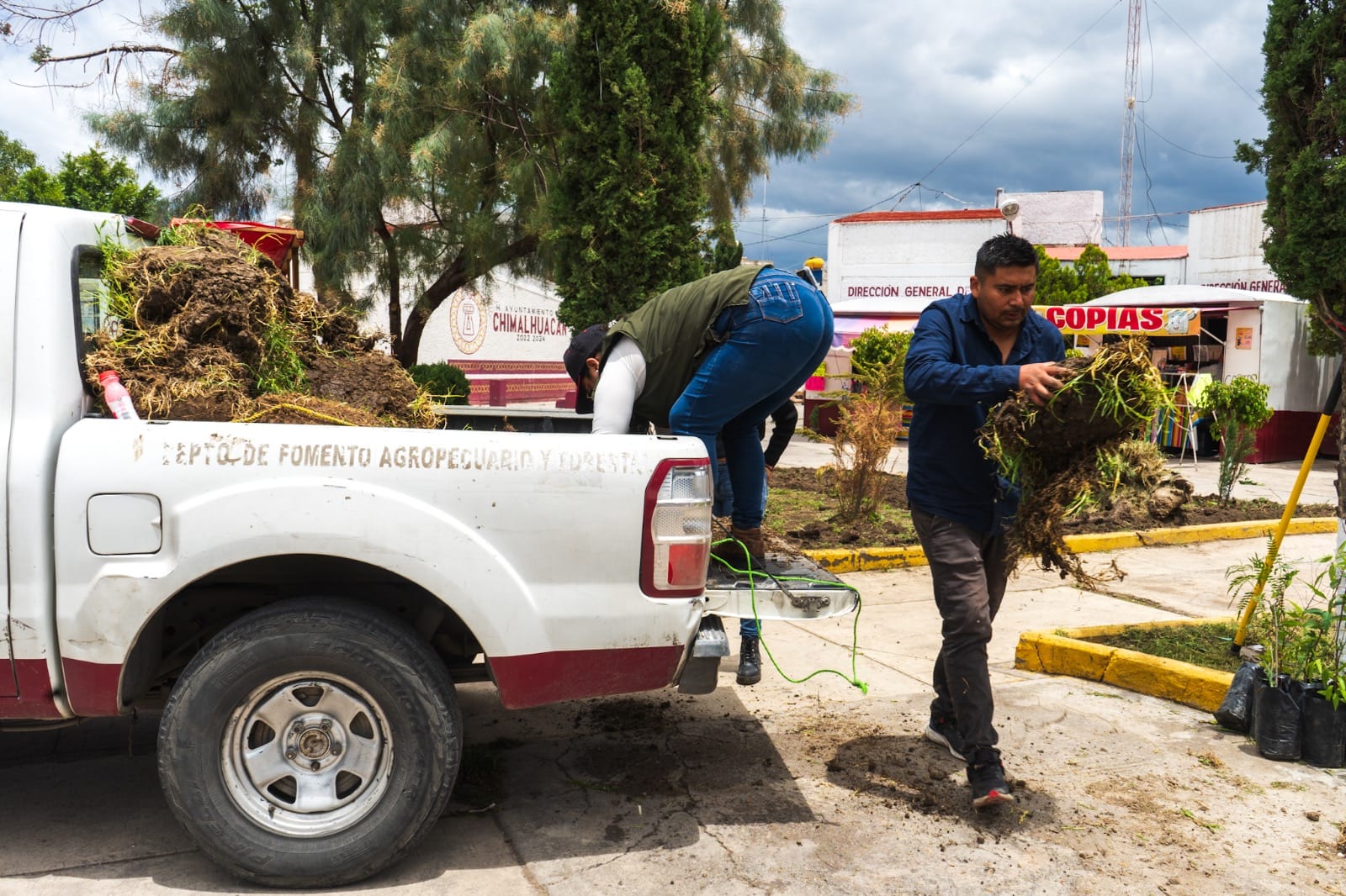 1692982729 167 GOBIERNO DE CHIMALHUACAN REALIZA TEQUIO AGROPECUARIO Y FORESTAL EN BARRIO