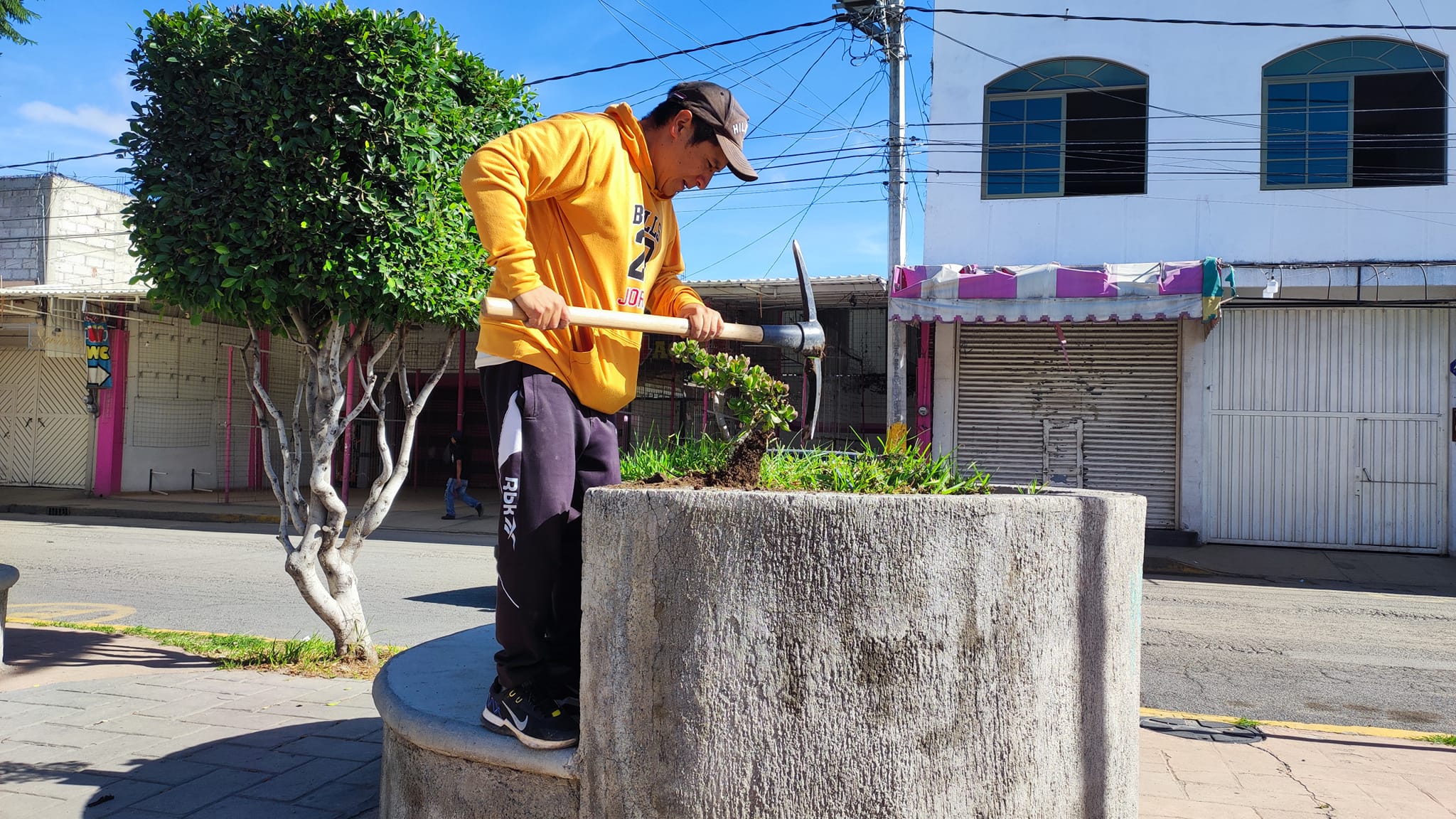 1692982788 517 A traves de la Direccion de Ecologia en coordinacion con