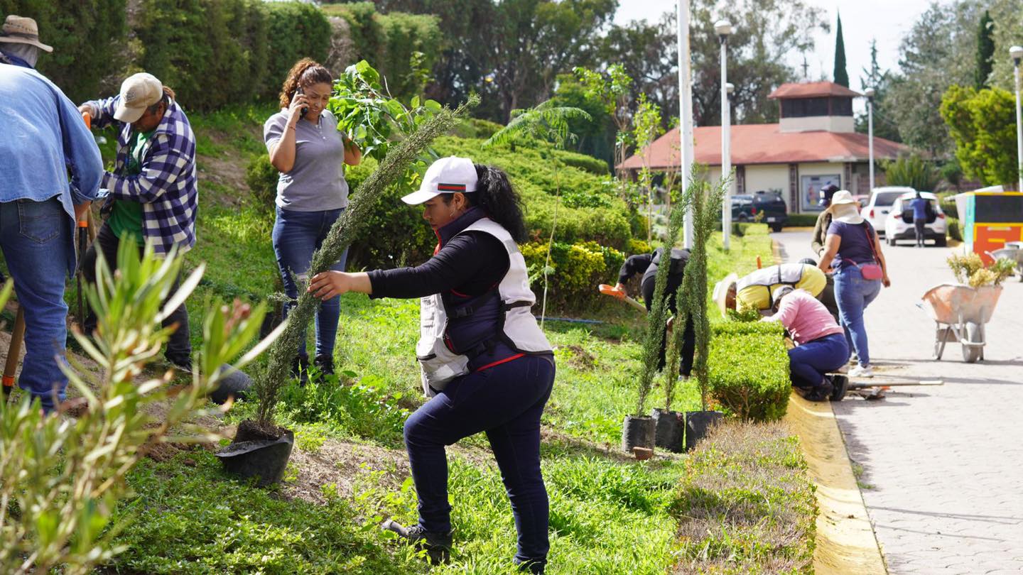 1692989842 529 REFORESTANDO HUEHUETOCA Con el objetivo de embellecer el entorno