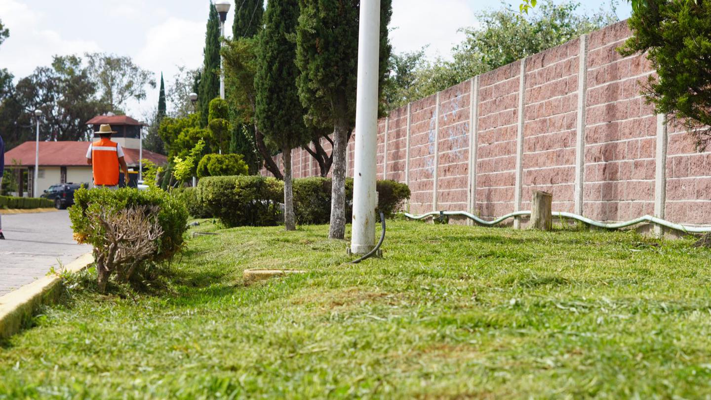 1692989846 115 REFORESTANDO HUEHUETOCA Con el objetivo de embellecer el entorno