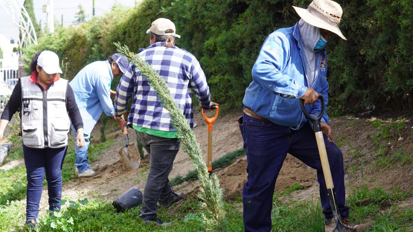 1692989849 347 REFORESTANDO HUEHUETOCA Con el objetivo de embellecer el entorno