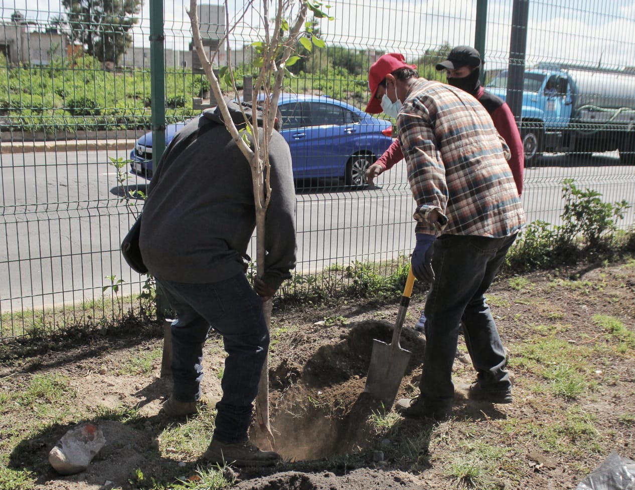 1692996280 599 ServiciosPublicos Continuamos con los trabajos de reforestacion en nuesto