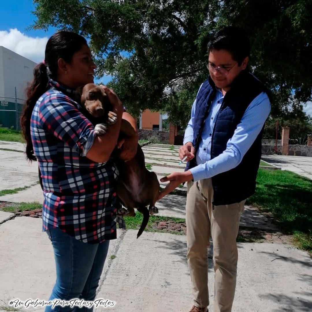 1692997925 286 La Unidad de Control y Bienestar Animal del H Ayuntamiento