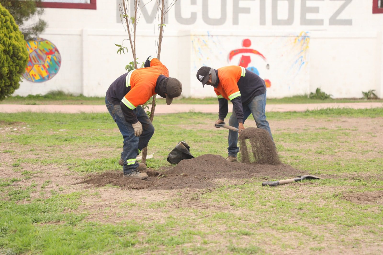 1693005898 213 La campana de reforestacion sigue en marcha en Zumpango Con