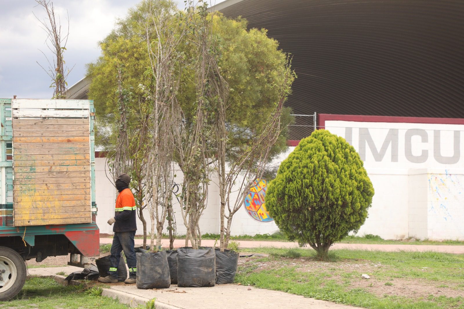 1693005902 16 La campana de reforestacion sigue en marcha en Zumpango Con