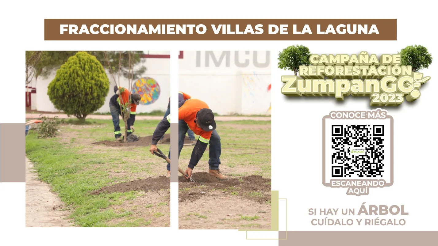 1693005924 La campana de reforestacion sigue en marcha en Zumpango Con jpg