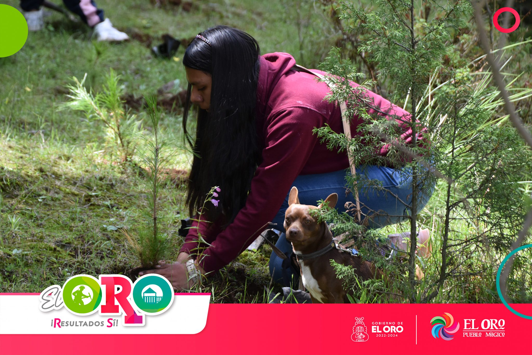 1693051799 189 Cuidando la vida reforestamos