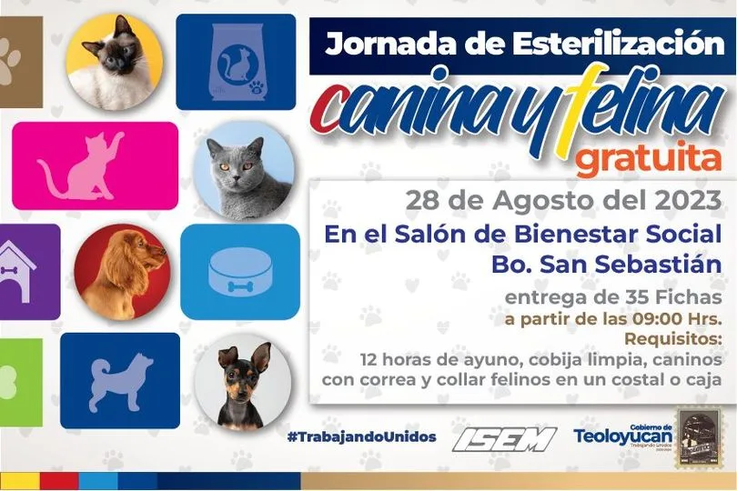 1693053113 Jornada de Esterilizacion Canina y Felina TrabajandoUnidos jpg