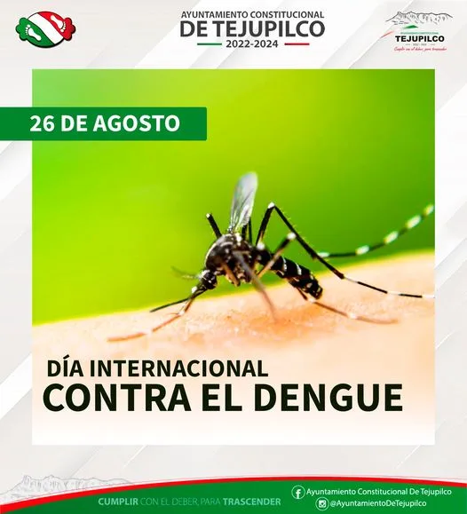 1693064897 Efemeride En el DiaInternacionalContraElDengue te brindamos las siguientes jpg