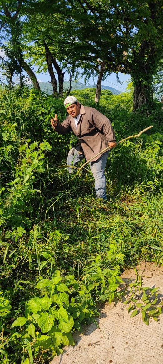 1693071696 560 Campana de limpieza de corte de bosque a la orilla