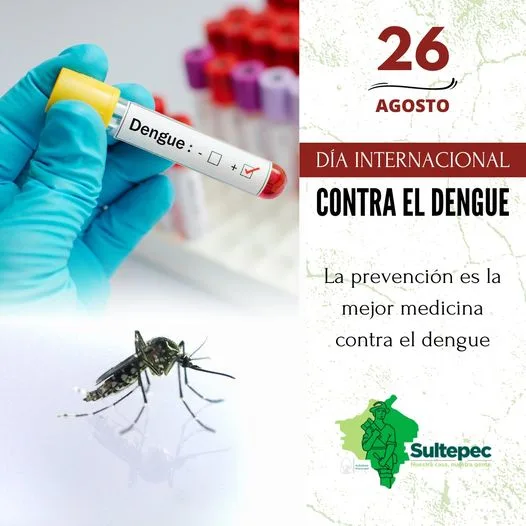 1693077931 26 de agosto Dia Internacional Contra el Dengue jpg