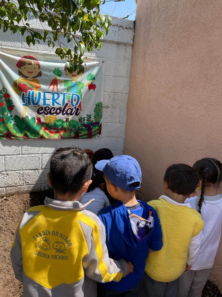 1693080123 881 ¡Descubre el encanto educativo en el Jardin de Ninos Leona