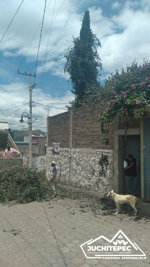 1693080570 80 Luminarias El Gobierno Municipal ha llevado a cabo en