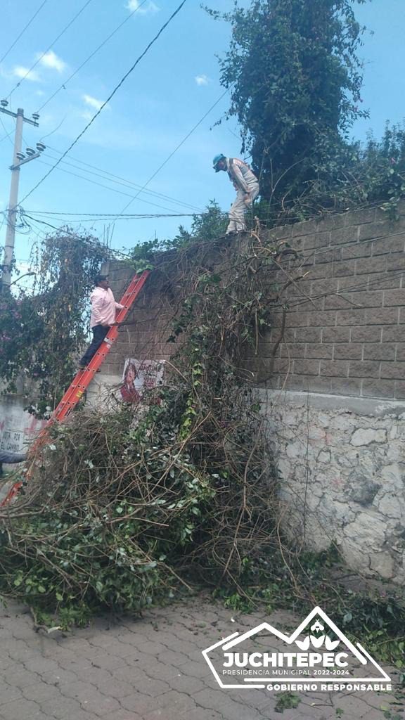 1693080580 848 Luminarias El Gobierno Municipal ha llevado a cabo en