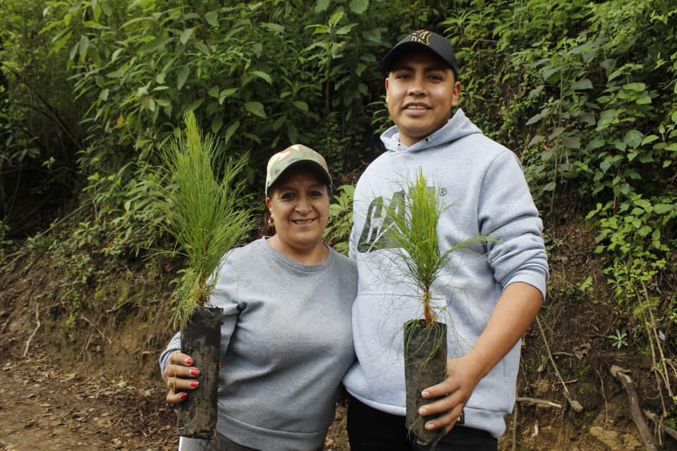 1693084413 515 En el marco del Programa de Reforestacion 2023 el Presidente