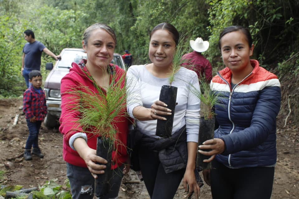 1693084416 147 En el marco del Programa de Reforestacion 2023 el Presidente