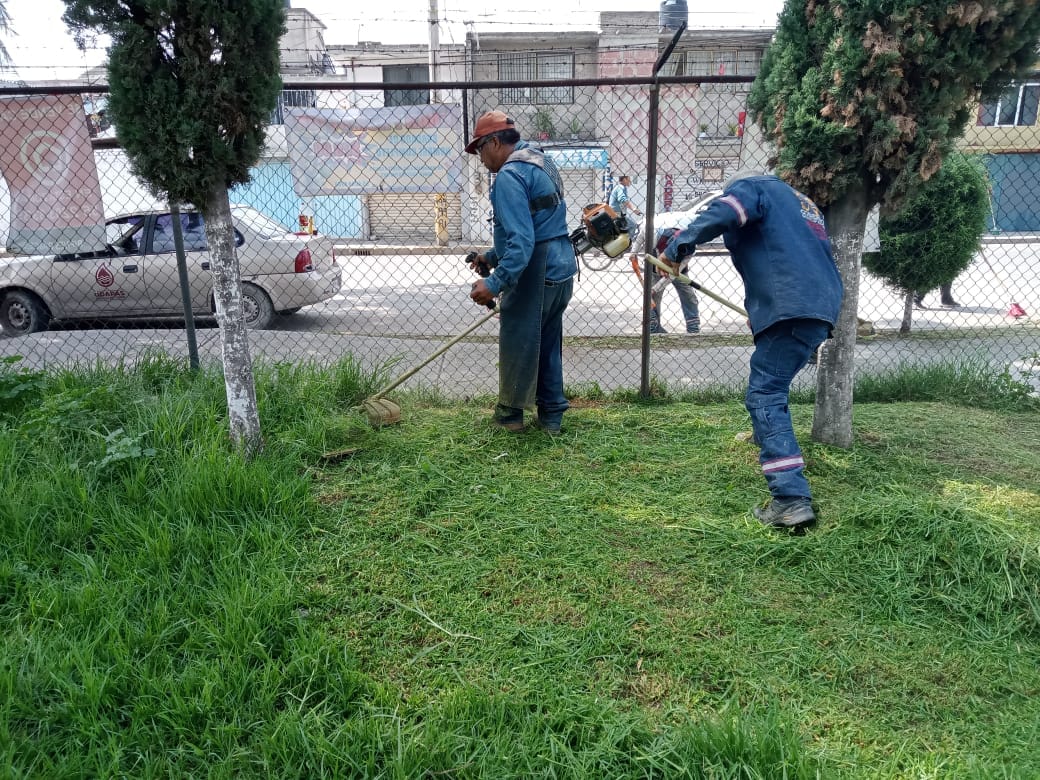 1693141186 508 El Gobierno Municipal de Jaltenco que preside la C Rosario