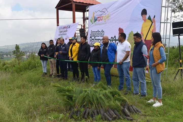 1693160762 10 JornadaDeReforestacion El Gobierno Municipal de Ayapango en coordinacion con P