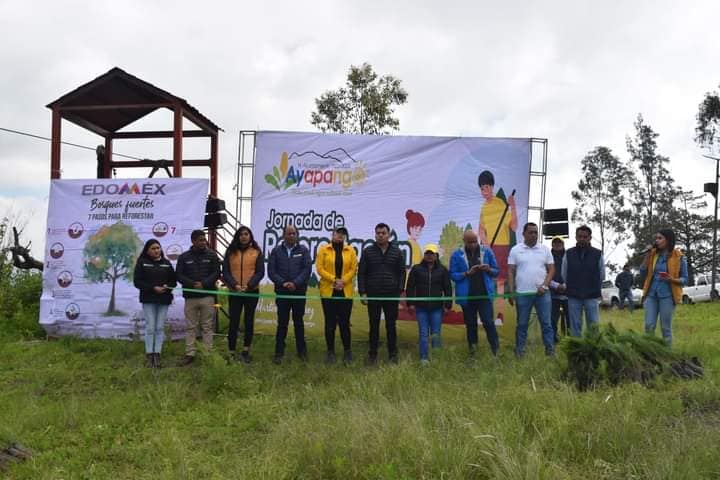 1693160766 623 JornadaDeReforestacion El Gobierno Municipal de Ayapango en coordinacion con P