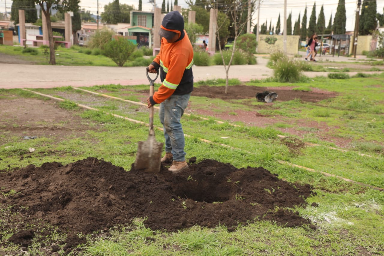 1693179451 704 La campana de reforestacion sigue en marcha en Zumpango Con