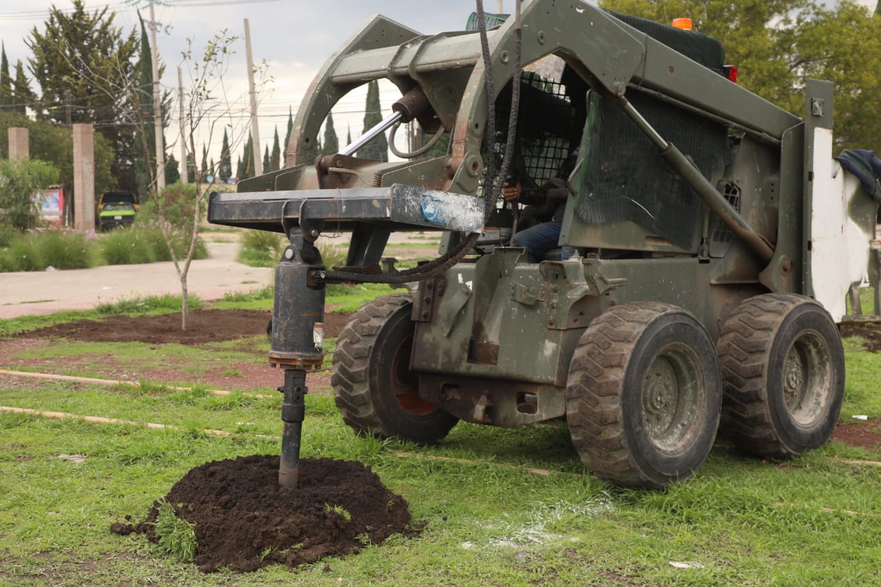 1693179456 500 La campana de reforestacion sigue en marcha en Zumpango Con