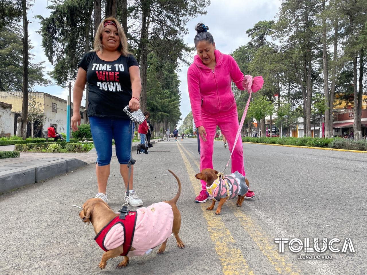 1693233660 864 ¡Memorables Asi son los domingos familiares en nuestro Paseo Colon