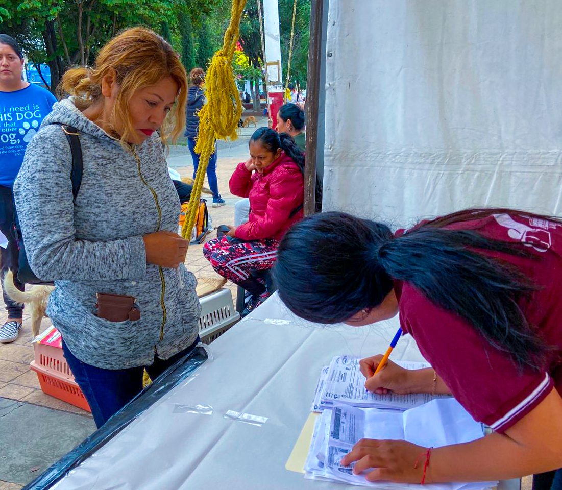 1693244931 128 GobiernoDeValleDeChalco