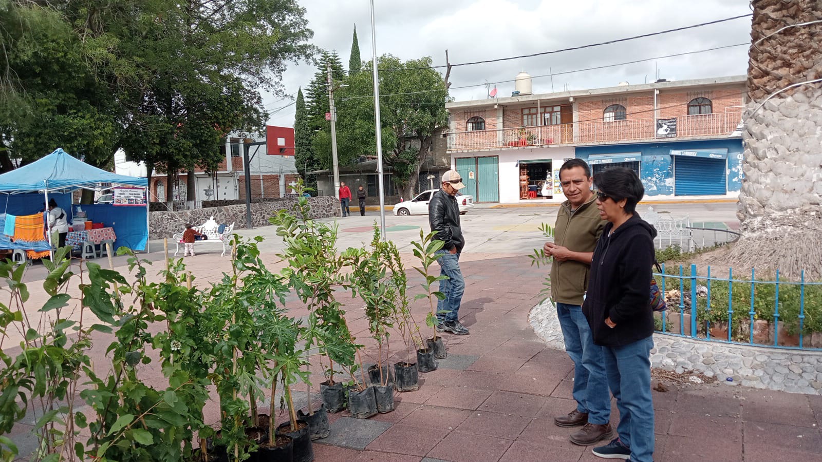 1693262937 584 Finalizamos la entrega de arboles frutales a bajo costo en