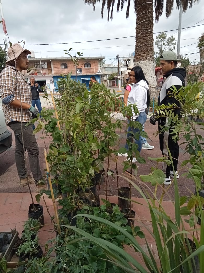 1693262940 902 Finalizamos la entrega de arboles frutales a bajo costo en