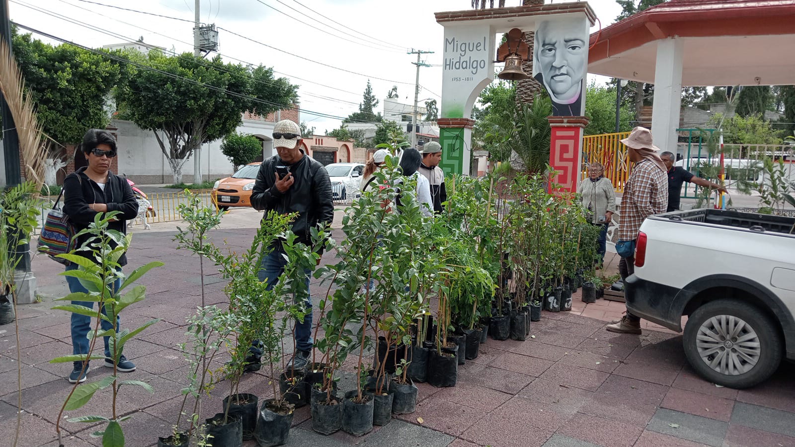 1693262954 Finalizamos la entrega de arboles frutales a bajo costo en