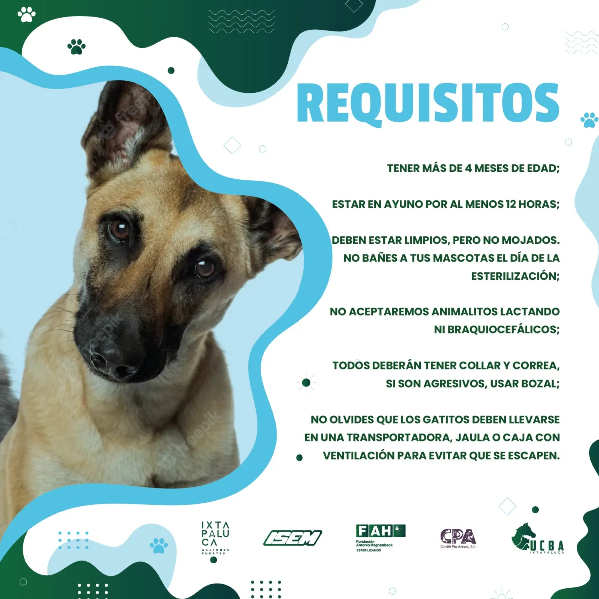 1693312057 314 ¡Ellos merecen una mejor vida Ayudanos a prevenir el abandono