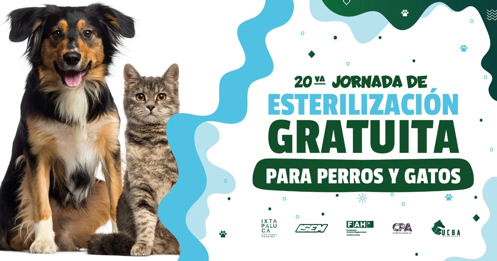 1693312069 ¡Ellos merecen una mejor vida Ayudanos a prevenir el abandono jpg