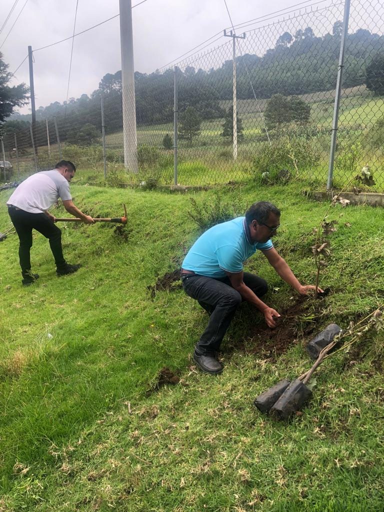 1693314479 441 Logramos realizar una reforestacion mas en la CabeceraMunicipal a la