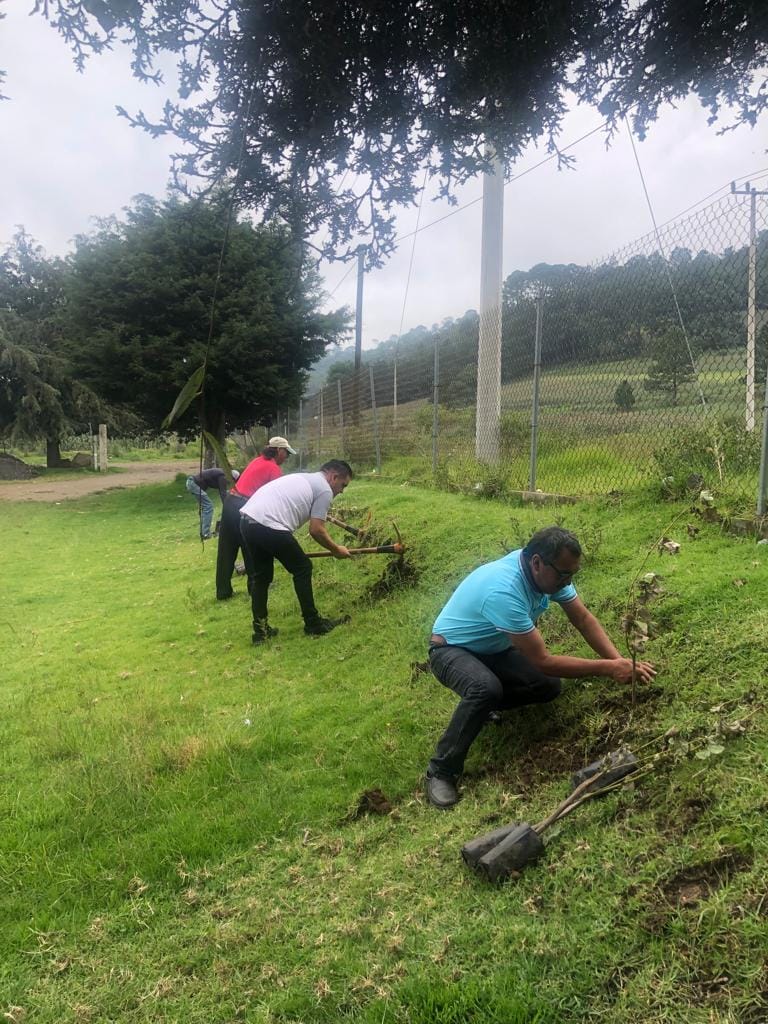 1693314484 108 Logramos realizar una reforestacion mas en la CabeceraMunicipal a la