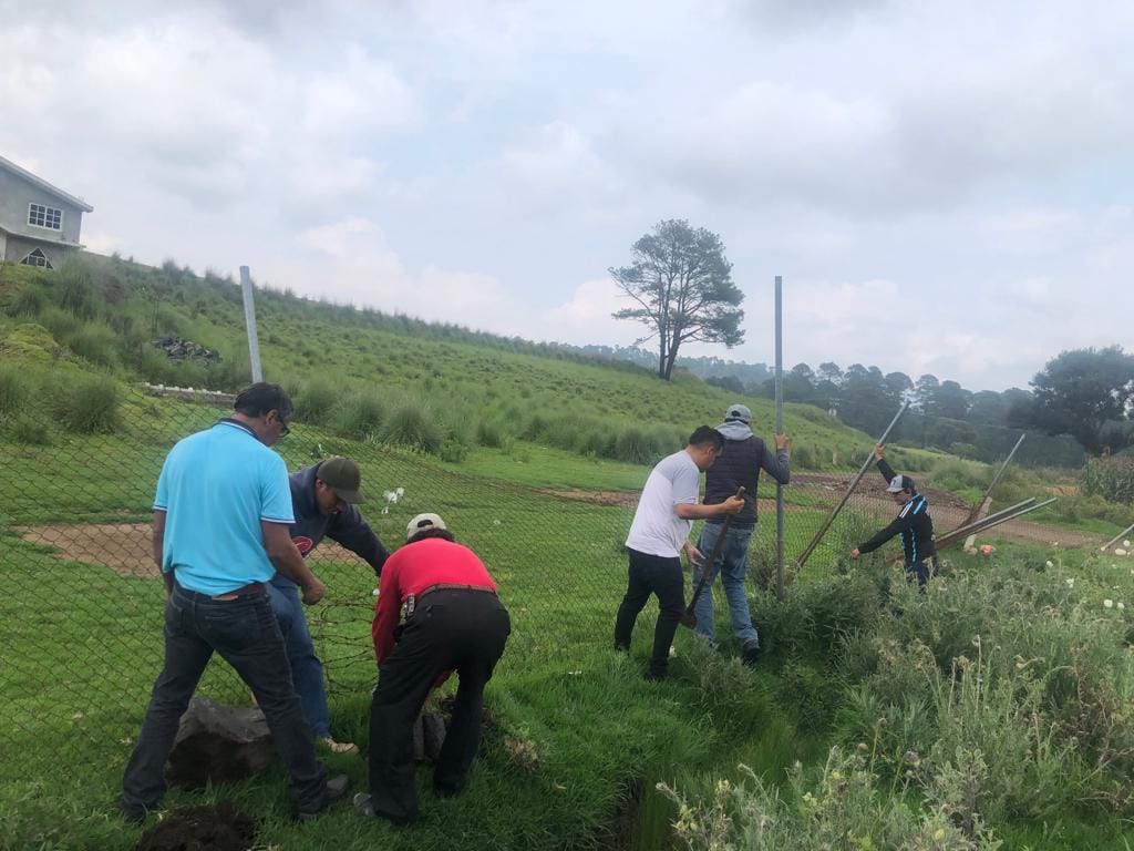 1693314488 766 Logramos realizar una reforestacion mas en la CabeceraMunicipal a la