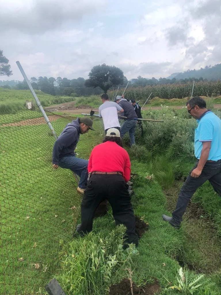 1693314505 Logramos realizar una reforestacion mas en la CabeceraMunicipal a la jpg