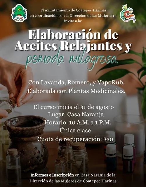 1693402073 Inscribete y aprende a elaborar aceite relajante con plantas medicinales jpg