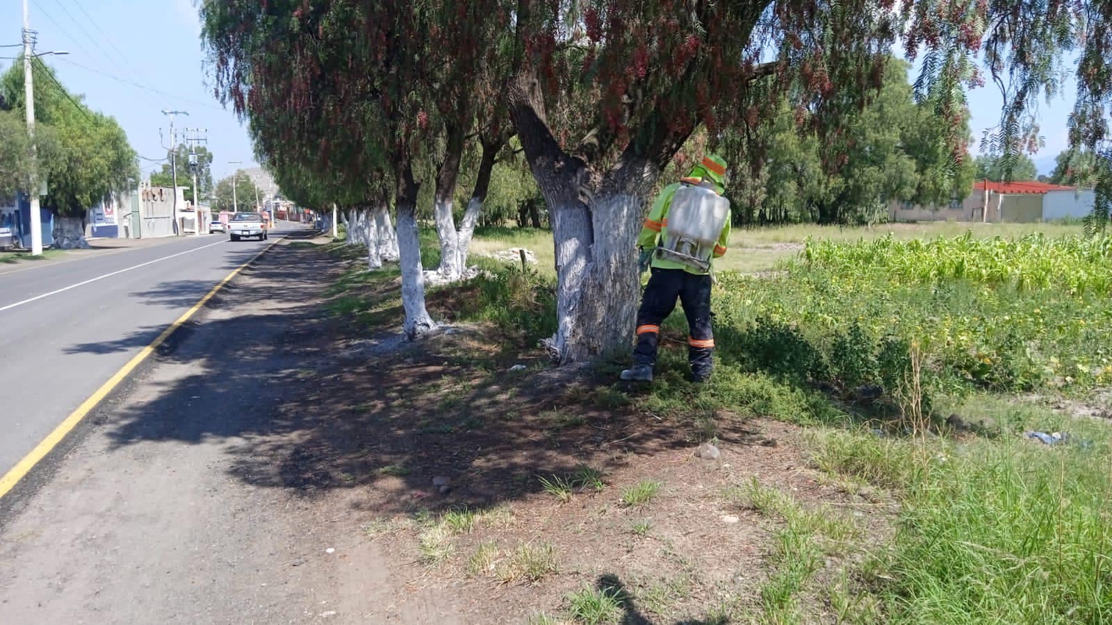 1693421803 847 En la Avenida del Puente en San Francisco Mazapa el