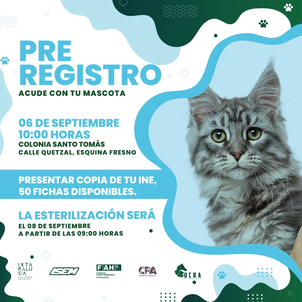 1693427750 925 ¡Ellos merecen una mejor vida Ayudanos a prevenir el abandono