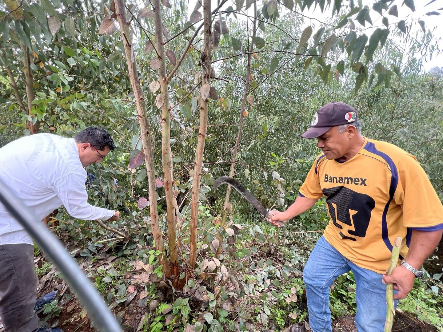 1693431841 759 Como parte de los acuerdos tomados en la pasada sesion