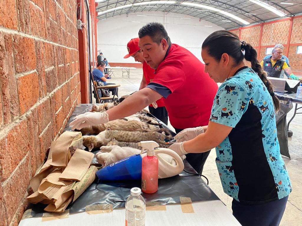 1693436371 528 Finalizamos este dia de esterilizacion gratuita en la comunidad de