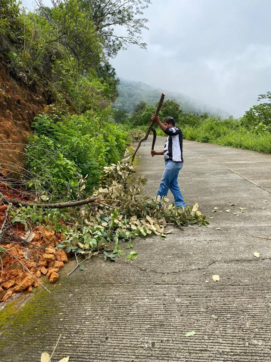 1693483475 351 Proteccion Civil de Tlatlaya retira arboles caidos por la lluvia