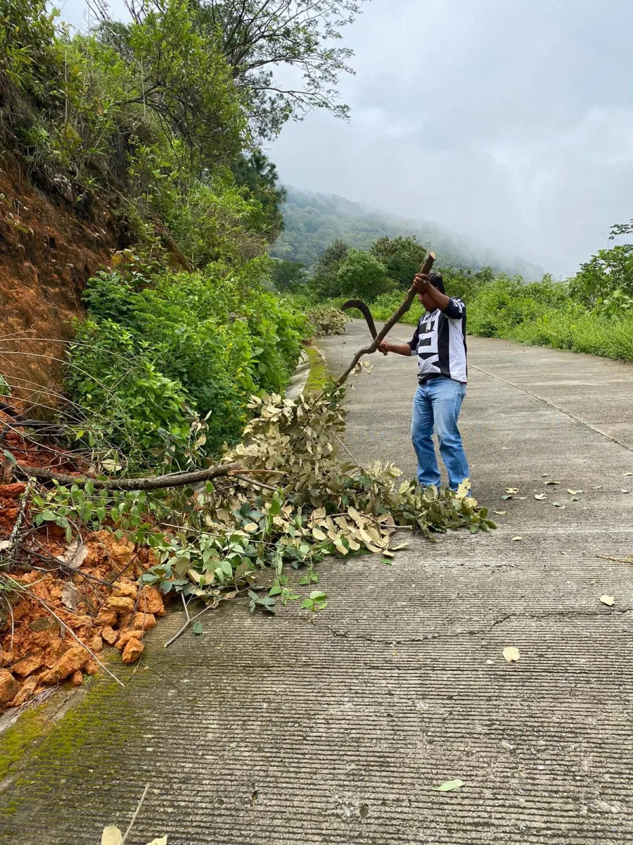 1693483479 551 Proteccion Civil de Tlatlaya retira arboles caidos por la lluvia