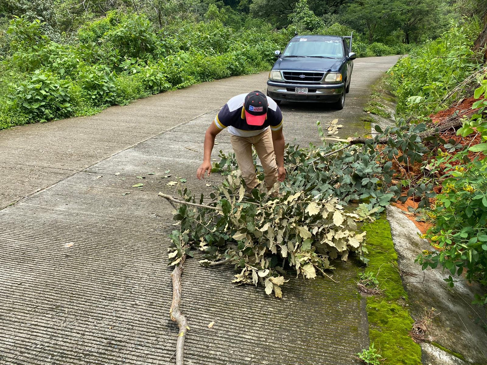 1693483514 Proteccion Civil de Tlatlaya retira arboles caidos por la lluvia