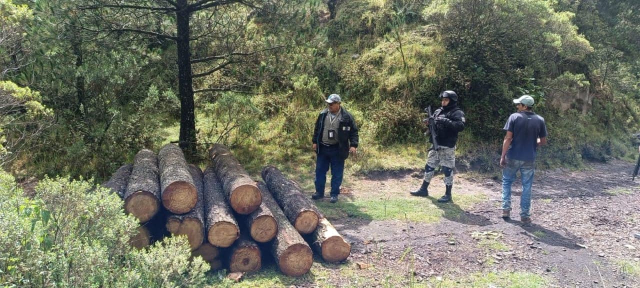 1693488245 818 En atencion a diversos reportes ciudadanos respecto a la Tala