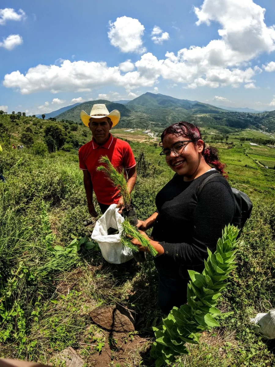 1693491141 957 Celebrando el exito de una reforestacion mas